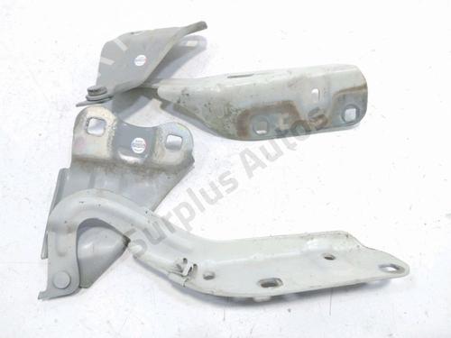 hingedoor-check-strap-renault-twingo-ii-cn0_-2007-39765314 main image