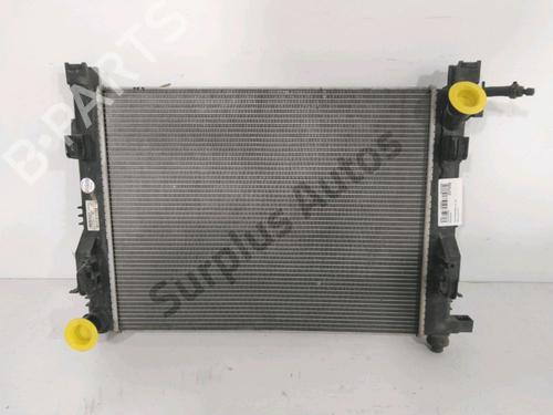 Wasserkühler für DACIA SANDERO II TCe 90 (B8M1, B8MA, B8AC) (90 hp) 30986353