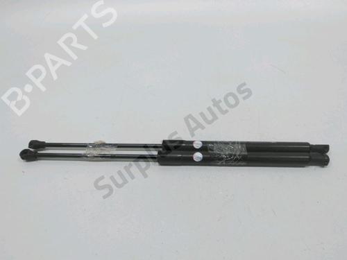 Gasdæmper bagklap CITROËN C3 II (SC_) 1.4 VTi 95 (95 hp) 31001998