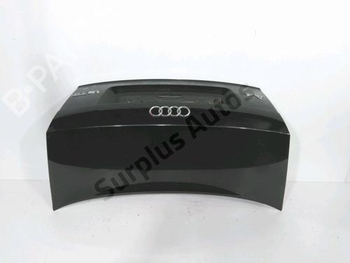 Used Tailgate AUDI A4 B6 (8E2) 1.9 TDI (130 hp) 31001538