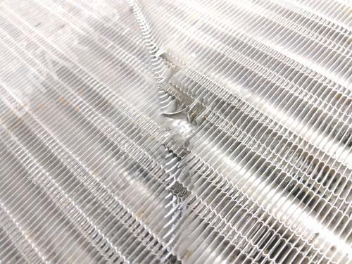 Køler RENAULT 19 II (B/C53_) 1.4 (B/C532) | BP29857028M31