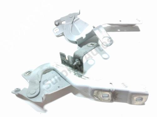 hingedoor-check-strap-renault-clio-iv-bh_-2012-2013-2014-2015-2016-2017-2018-2019-2020-2021-40059788 main image