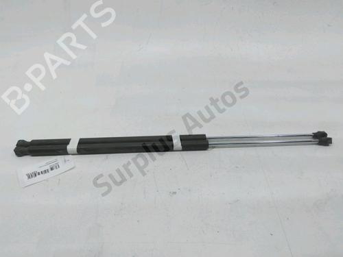 Used Tailgate lift support CITROËN BERLINGO / BERLINGO FIRST MPV (MF_, GJK_, GFK_) [1996-2025]  31001969