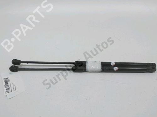 Gasdæmper bagklap CITROËN C4 II (NC_) 1.6 HDi 90 (92 hp) 31002018