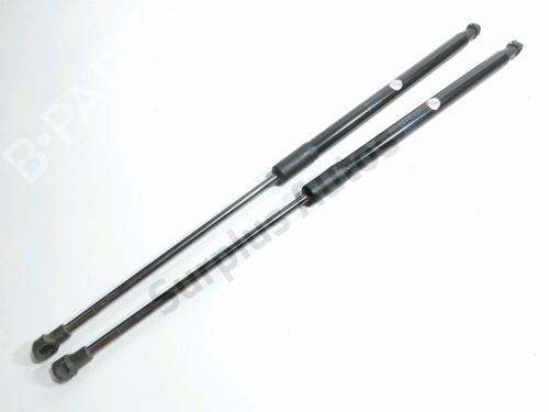 Used Tailgate lift support Tailgate lift support CITROËN C4 CACTUS 1.2 THP 110 (110 hp) 40252264 40252264