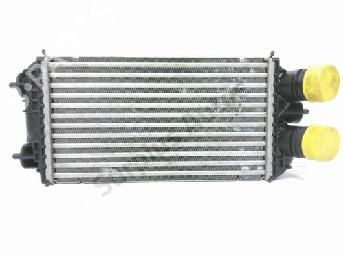 Used Intercooler Intercooler PEUGEOT 2008 II (UD_, US_, UY_, UJ_, UR_, UC_) 1.2 PureTech 130 (USHNS, URHNS) (130 hp) 32694423 32694423