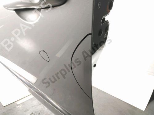 Left front door RENAULT SCÉNIC III (JZ0/1_) 1.5 dCi | BP28244594C2 