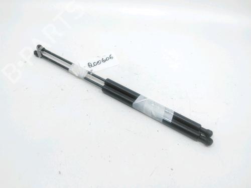 Gassdemper Bakluke RENAULT TWINGO I (C06_) 1.2 16V (C06C, C06D, C06K) (75 hp) 31001880