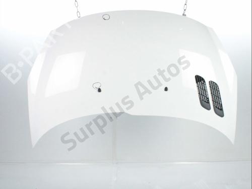 hood-peugeot-206-2l_-2m_-2009-2010-2011-2012-2013-31664129 main image