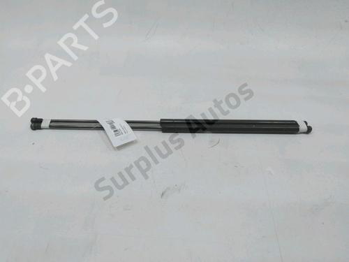 tailgate-lift-support-nissan-juke-f15-2010-2011-2012-2013-2014-2015-2016-2017-2018-2019-31001976 main image