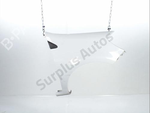 Used Right front fenders RENAULT CLIO III (BR0/1, CR0/1) 1.5 dCi (75 hp) 30166497