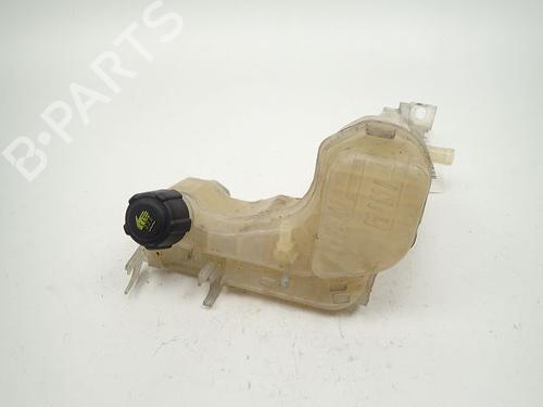 expansion-tank-renault-laguna-iii-bt01-2007-2008-2009-2010-2011-2012-2013-2014-2015-30986376 main image
