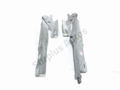 hingedoor-check-strap-citroen-c3-ii-sc_-2009-39260152 main image