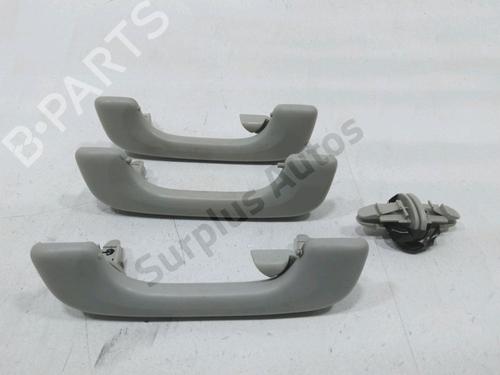 Indvendigt håndtag RENAULT CLIO III (BR0/1, CR0/1) 1.5 dCi (BR17, CR17) (86 hp) 31003519