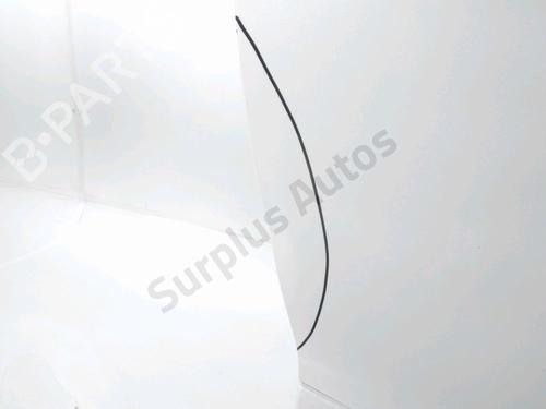 Right front door RENAULT MEGANE III Coupe (DZ0/1_) 2.0 R.S. | BP28243872C3 