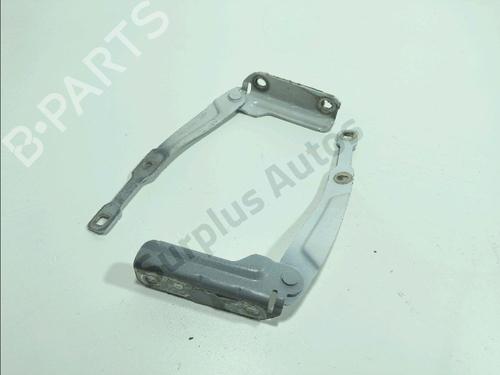 Dørhængsel/Dørbegrænser DACIA SANDERO II 1.0 SCe 75 (B8JC, B8JD, B8NC) (73 hp) 31694168