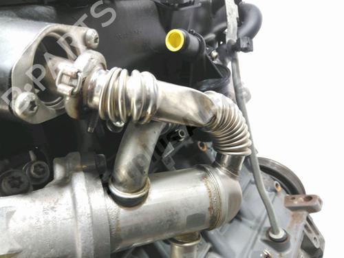 Engine LANCIA YPSILON (843_) 1.3 D Multijet (843.AXF11, 843.AXF1A, 843.AXM11,... | BP28721012M1  - Image 7