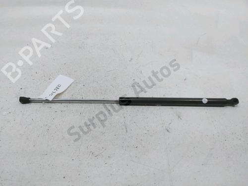 hood-lift-support-dacia-sandero-ii-2012-30993825 main image