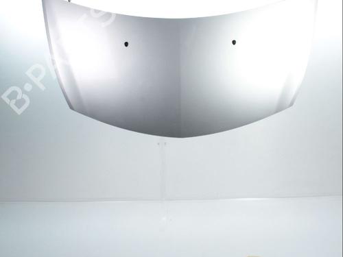 Used Hood RENAULT CLIO III (BR0/1, CR0/1) 1.5 dCi (BR17, CR17) (86 hp) 28237185