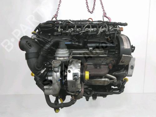 Motore VW TOURAN (1T3) 1.6 TDI (105 hp) 31964153