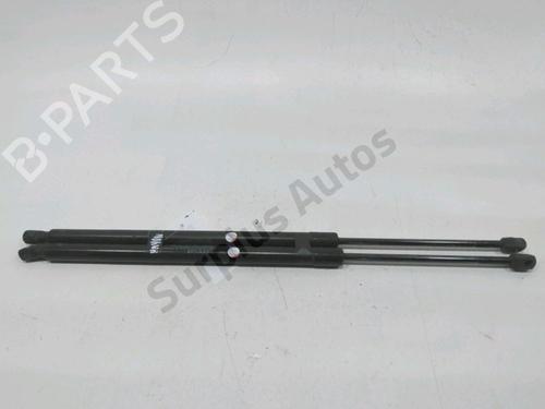 tailgate-lift-support-honda-cr-v-iii-re_-2006-31001959 main image