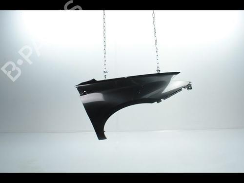 Used Right front fenders RENAULT LAGUNA III (BT0/1) 1.5 dCi (BT00, BT0A, BT0T, BT1J) (110 hp) 28235708