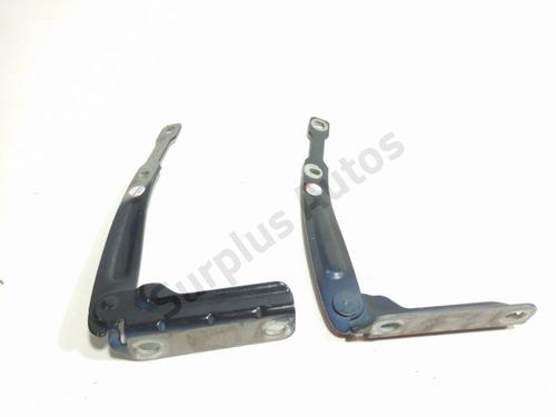 hingedoor-check-strap-dacia-lodgy-js_-2012-40252059 main image