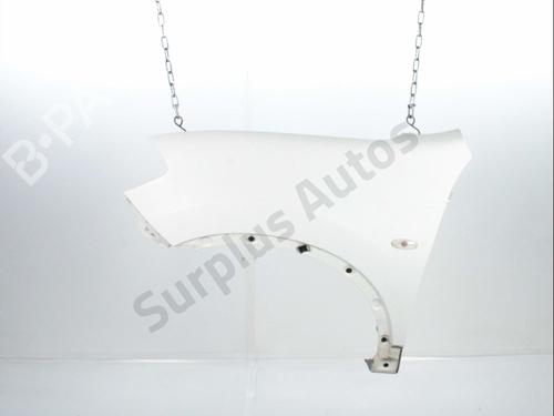 Forskærm venstre NISSAN QASHQAI I (J10, NJ10) 1.6 dCi (130 hp) 31058425