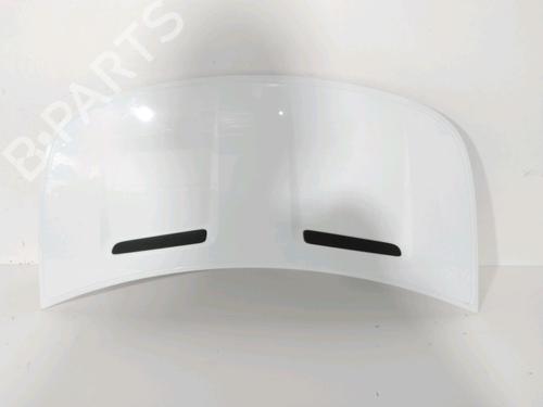 Used Hood SMART FORFOUR (454) 1.5 CDI (454.000) (68 hp) 30993597