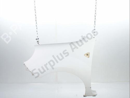 Used Left front fenders RENAULT KANGOO / GRAND KANGOO II (KW0/1_) 1.5 dCi 85 (KW0K, KW0L, KW0B) (86 hp) 28236252