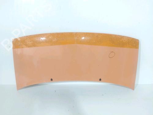 Used Hood CITROËN JUMPY I Van (BS_, BT_, BY_, BZ_) [1994-2006]  30993609