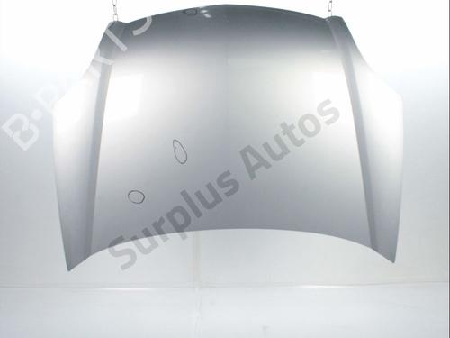 Used Hood RENAULT KANGOO (KC0/1_) 1.6 16V (95 hp) 28237441