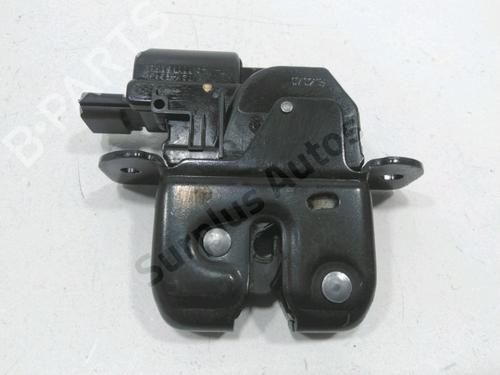 Tailgate lock RENAULT SCÉNIC III (JZ0/1_) 1.5 dCi | BP31001744C101