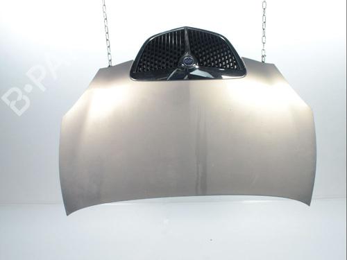 Used Hood LANCIA YPSILON (843_) 1.4 16V (843.AXC11, 843.AXC1B, 843.AXC1A) (95 hp) 28237188