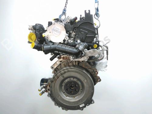 Engine FORD FOCUS IV Turnier (HP) 1.0 EcoBoost mHEV | BP31964135M1 - Image 2