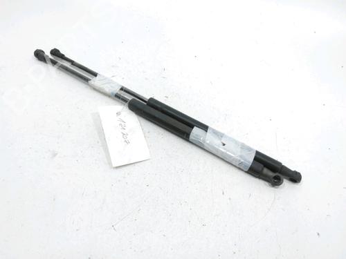 Gassdemper Bakluke FIAT PUNTO EVO (199_) 1.4 (199AXB1A) (77 hp) 31001785