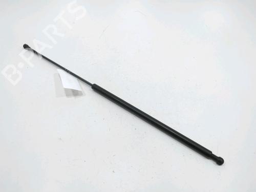 hood-lift-support-peugeot-406-8b-1995-1996-1997-1998-1999-2000-2001-2002-2003-2004-2005-30993812 main image