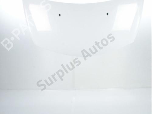 Used Hood RENAULT CLIO III (BR0/1, CR0/1) 1.5 dCi (88 hp) 28237337