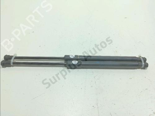 tailgate-lift-support-renault-twingo-ii-cn0_-2007-37712182 main image