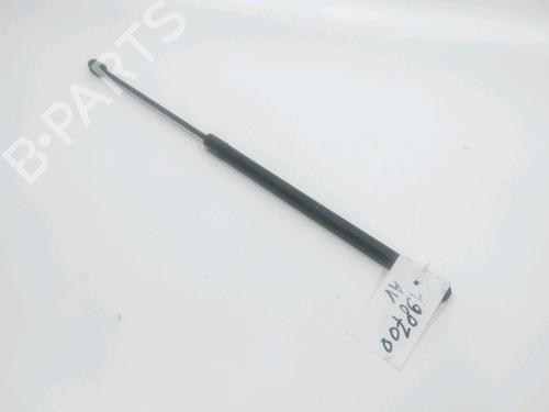 hood-lift-support-mini-mini-r50-r53-2001-2002-2003-2004-2005-2006-30993779 main image