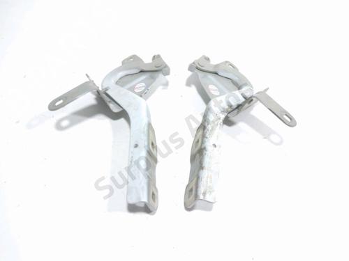 hingedoor-check-strap-renault-clio-iv-bh_-2012-2013-2014-2015-2016-2017-2018-2019-2020-2021-32460840 main image