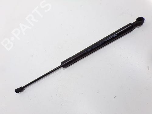 Hood lift support DACIA LODGY (JS_) 1.6 SCe 100 (JSAV) 654704175R | 654704175R |