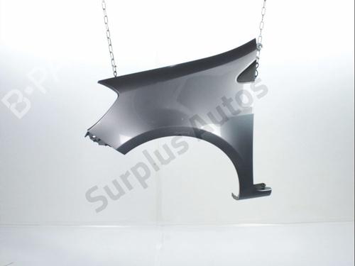 Used Left front fenders RENAULT CLIO III (BR0/1, CR0/1) 1.2 16V (BR02, BR0J, BR11, CR02, CR0J, CR11) (75 hp) 30190955