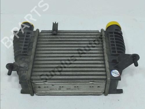 Used Intercooler Intercooler NISSAN JUKE (F15) 1.5 dCi (110 hp) 33867220 33867220