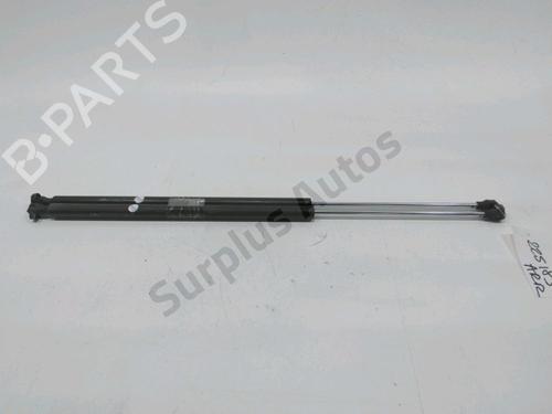 Gassdemper Bakluke PEUGEOT PARTNER MPV (5_, G_) 2.0 HDI (90 hp) 31001970