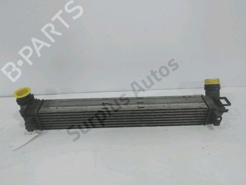 Intercooler Intercooler RENAULT MEGANE III Hatchback (BZ0/1_, B3_) 1.5 dCi (86 hp) 37291275 37291275