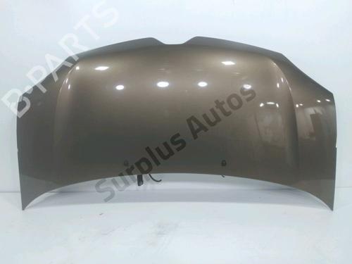 Used Hood Hood RENAULT TWINGO III (BCM_, BCA_) 0.9 TCe 90 (BCM9, BCM2) (90 hp) 36289269 36289269