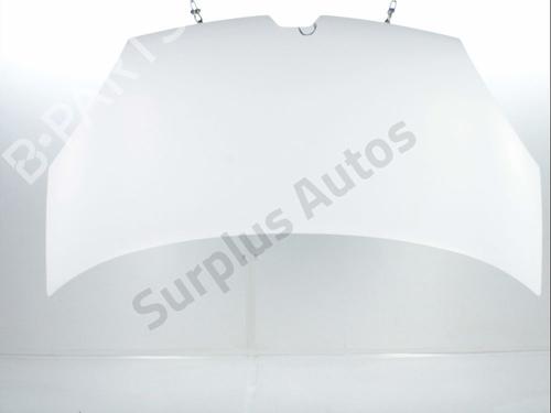 Used Hood RENAULT KANGOO Express (FW0/1_) 1.5 dCi 90 (FW0G, FW05, FW08, FW11) (90 hp) 31350631