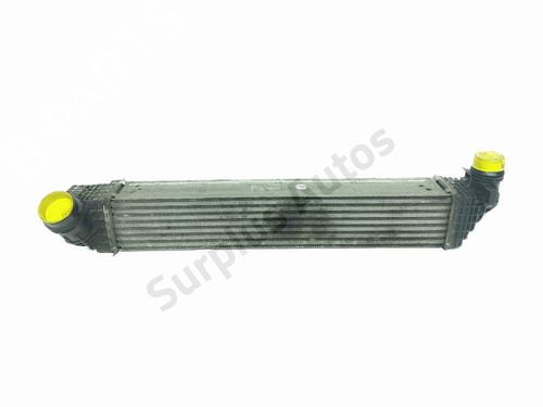 Used Intercooler Intercooler RENAULT GRAND SCÉNIC III (JZ0/1_) 1.6 dCi (JZ00, JZ12) (130 hp) 39088363 39088363