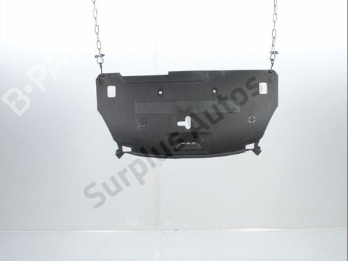 Frontblech für Frontblech RENAULT LAGUNA III (BT0/1) 1.5 dCi (BT00, BT0A, BT0T, BT1J) (110 hp) 36464824 36464824